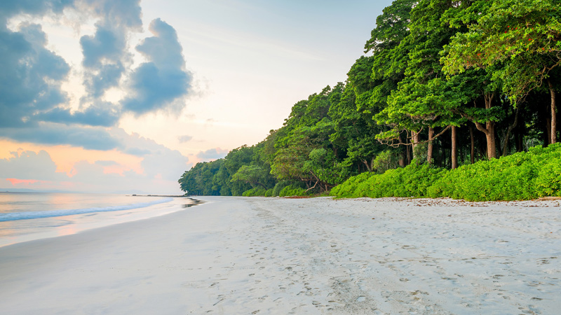 Radhanagar Beach